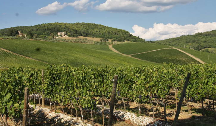 Agricoltura: nuovo accordo ChiantiBanca e Fidi Toscana